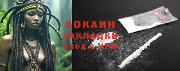 шишки Каменногорск