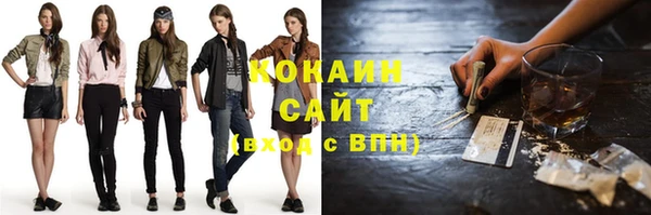 шишки Каменногорск