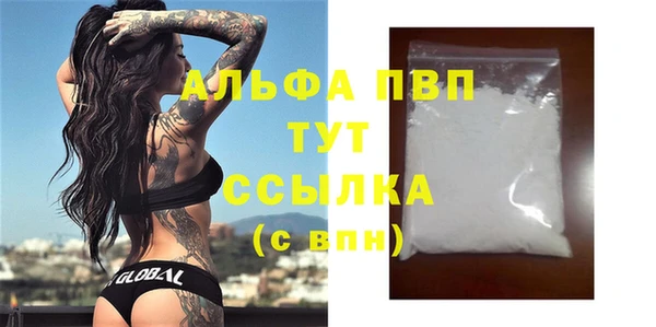 шишки Каменногорск