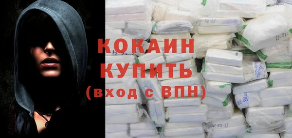 шишки Каменногорск