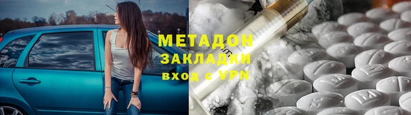 шишки Каменногорск