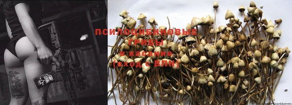 прущая мука Каменка