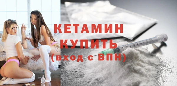 шишки Каменногорск