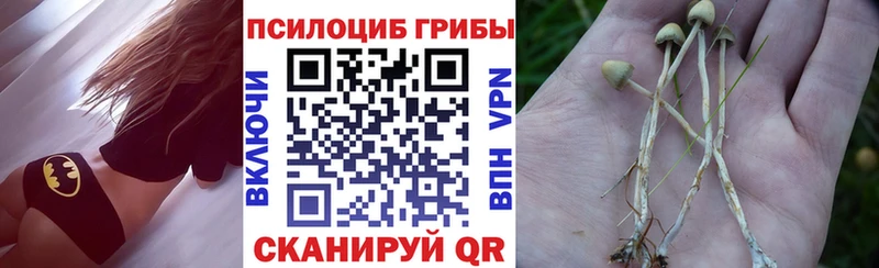 Псилоцибиновые грибы Magic Shrooms  Купить закладки  Приморск 