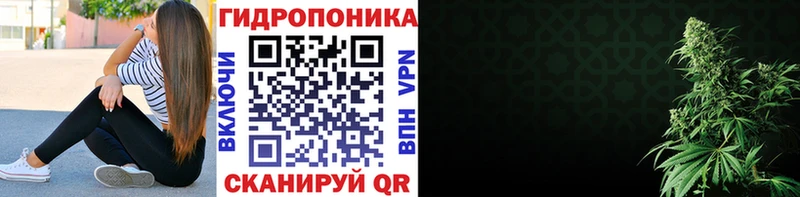 Купить где  Приморск  Бошки Шишки SATIVA & INDICA 